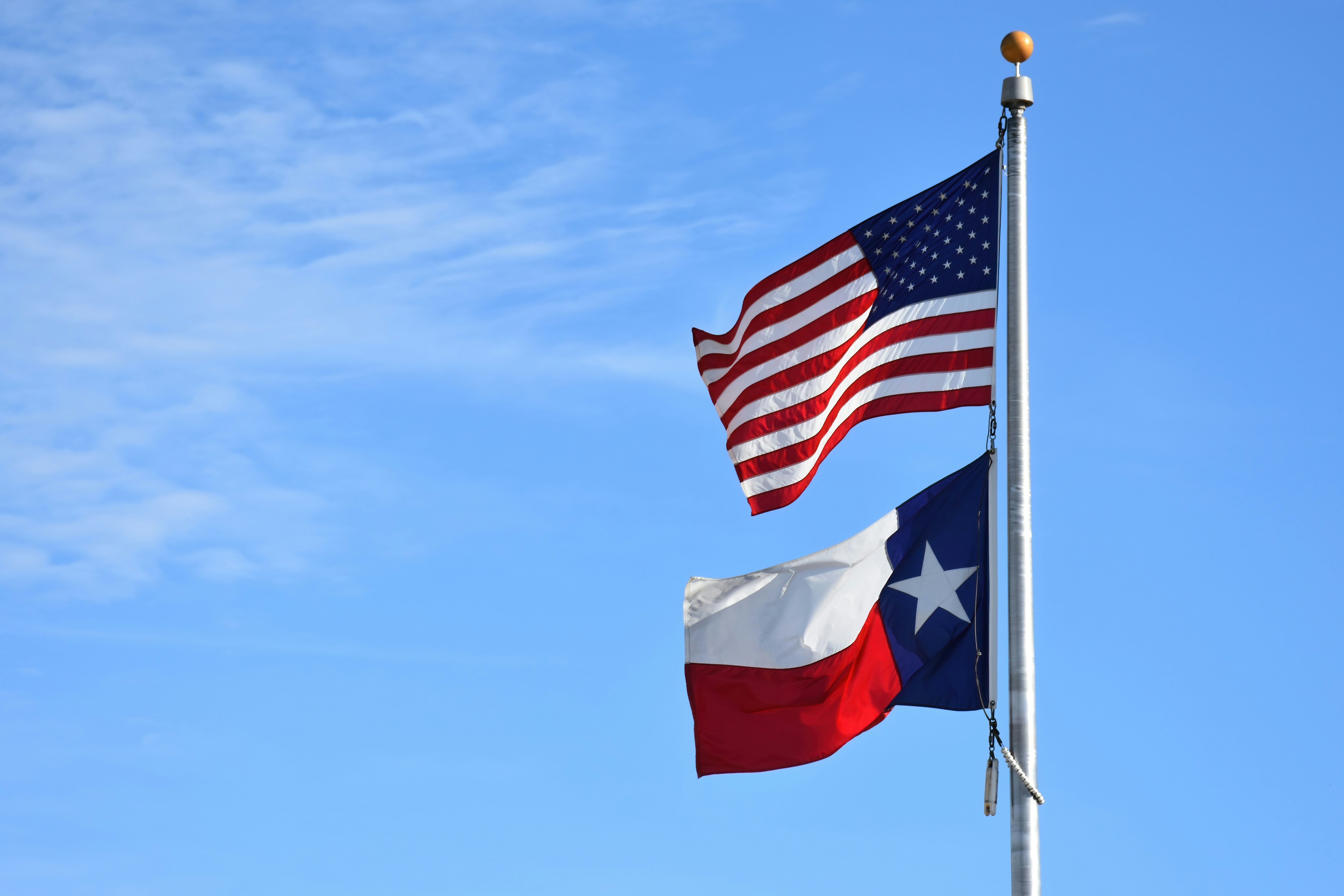 Texas Flag